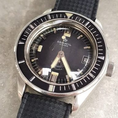 Squale Darwil mk.1 Master